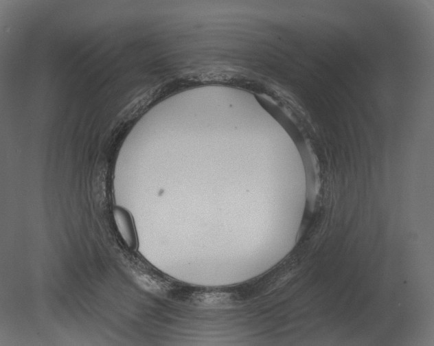 X0000080670501200701121636