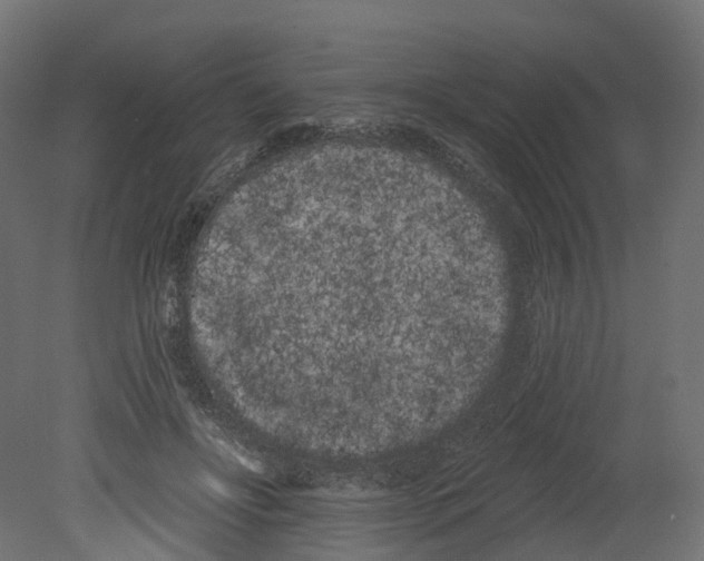 X0000080670502200701121636