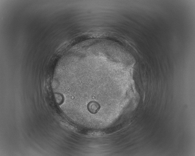 X0000080670503200701121636