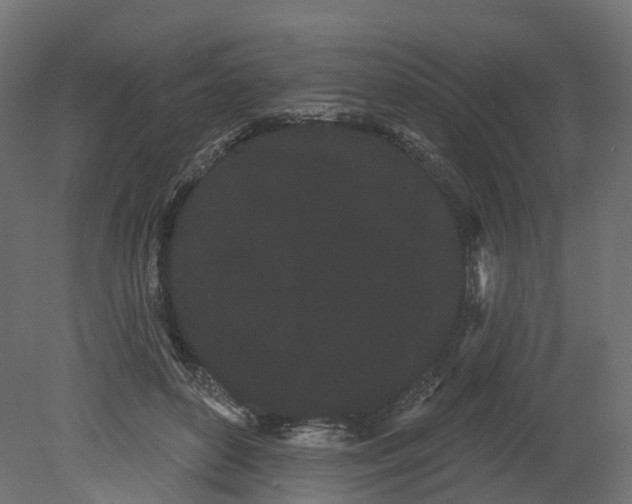 X0000080670504200701121636