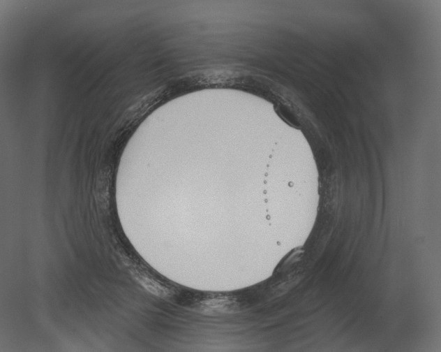 X0000080670505200701121636