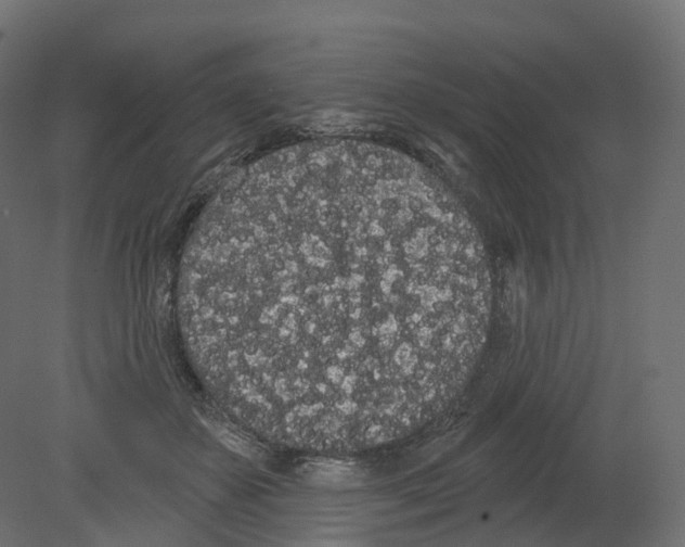 X0000080670507200701121636