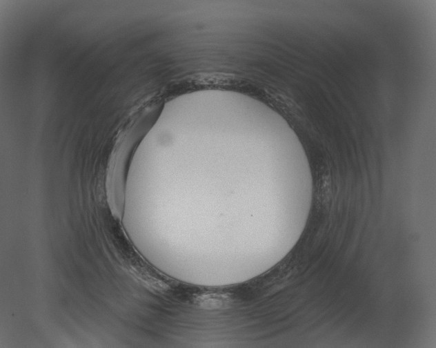 X0000080670508200701121636