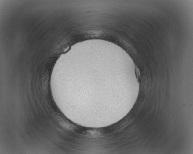 X0000080670509200701121636