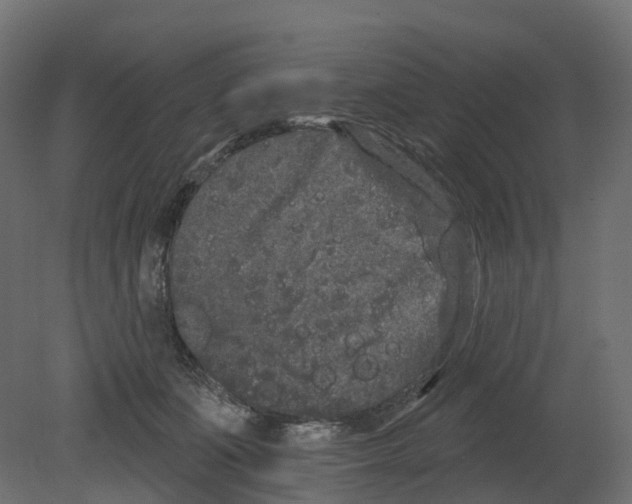 X0000080670511200701121636