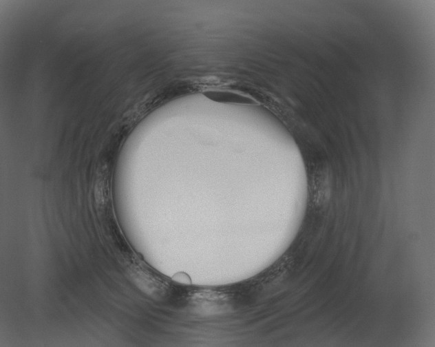 X0000080670515200701121636