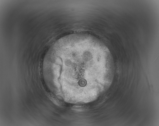 X0000080670519200701121636