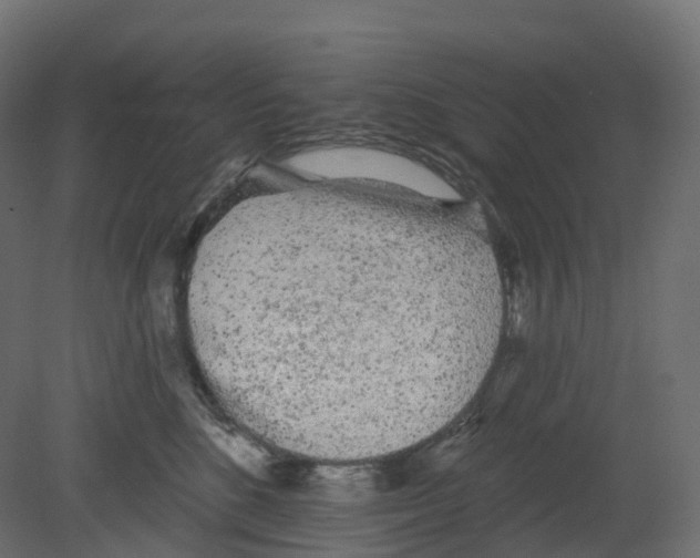 X0000080670520200701121636