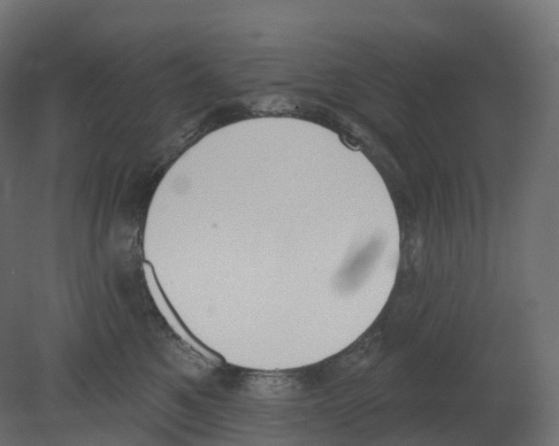 X0000080670521200701121636