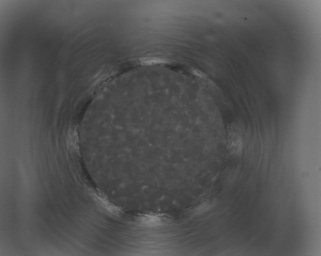 X0000080670523200701121636