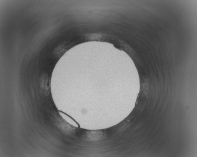 X0000080670525200701121636