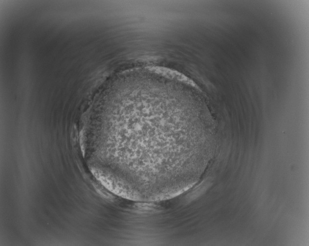 X0000080670528200701121636