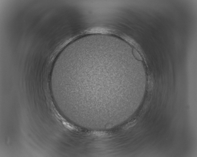 X0000080670529200701121635