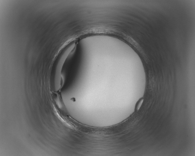 X0000080670530200701121635