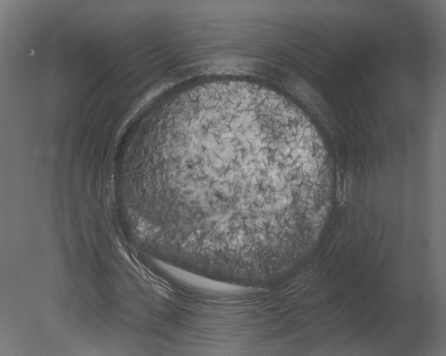 X0000080670531200701121635