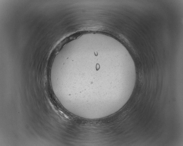 X0000080670532200701121635