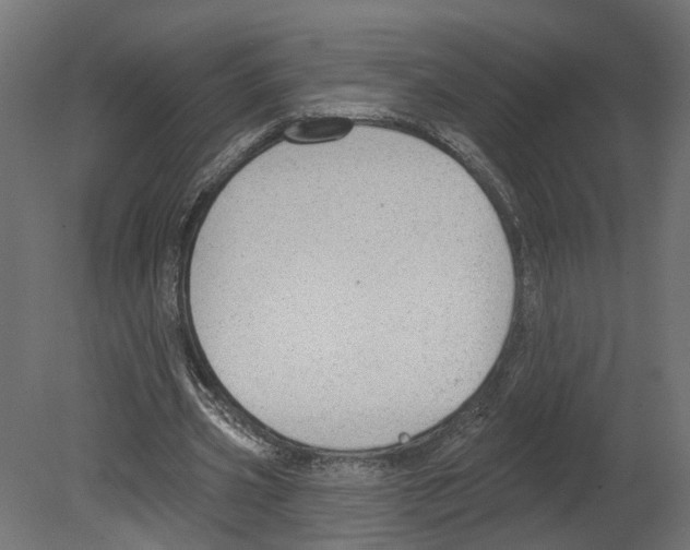 X0000080670533200701121635