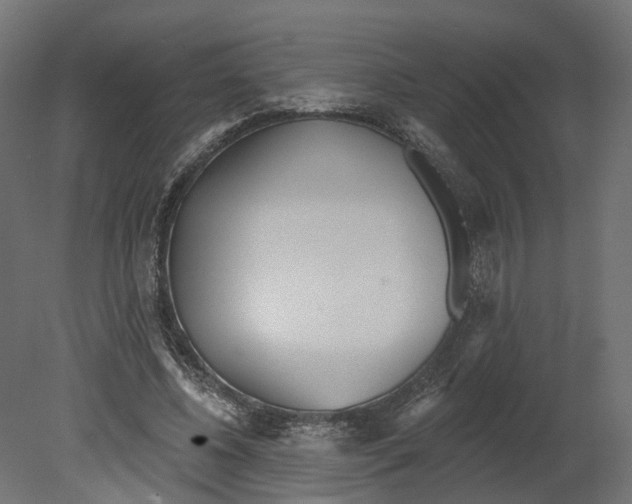 X0000080670540200701121635