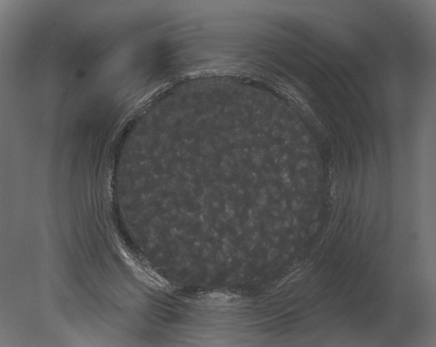 X0000080670542200701121635