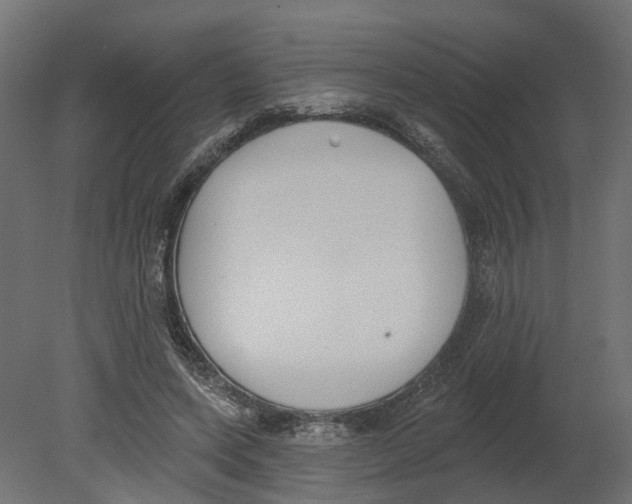 X0000080670543200701121635