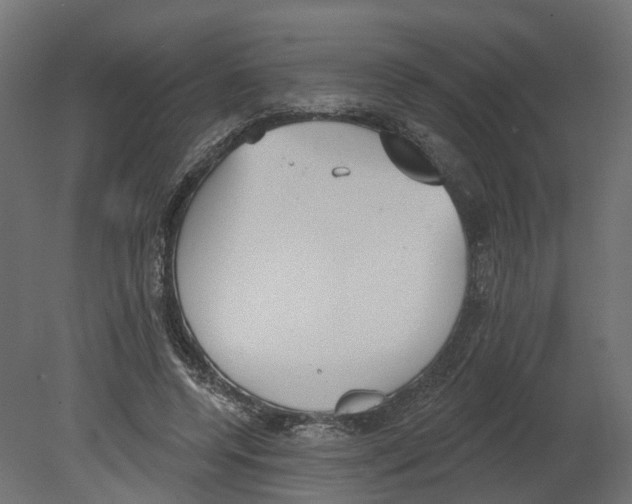 X0000080670544200701121635