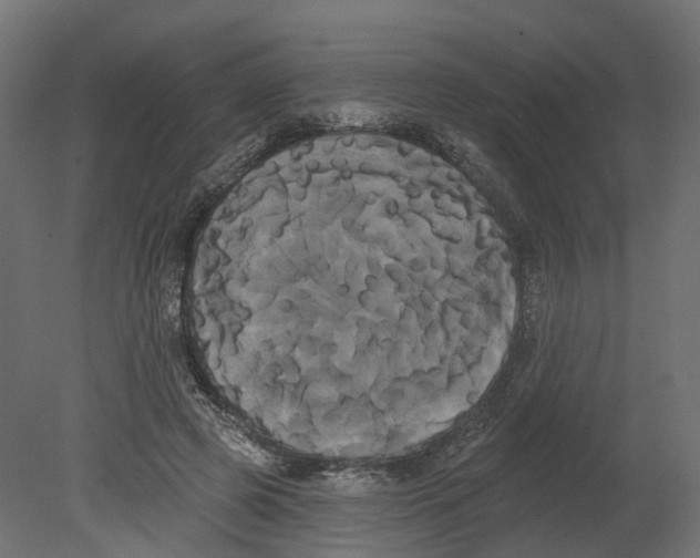 X0000080670545200701121635