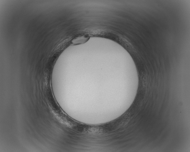 X0000080670546200701121635