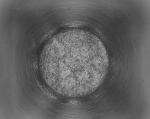 X0000080670547200701121635