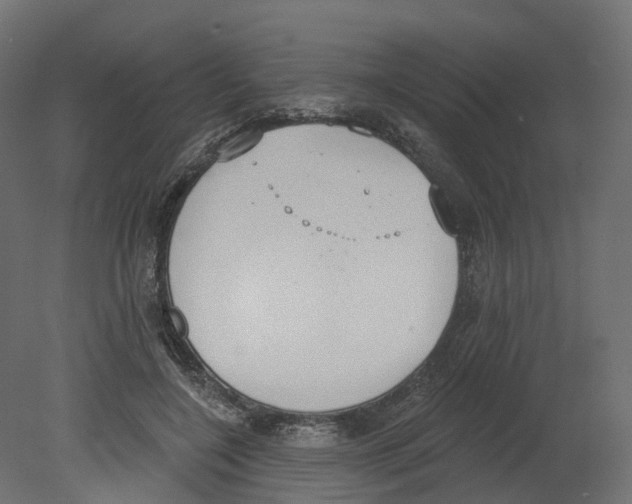 X0000080670548200701121635