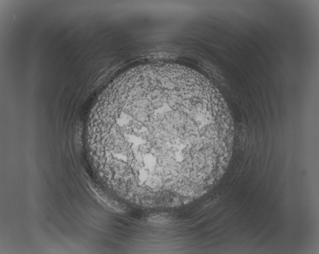 X0000080670550200701121635