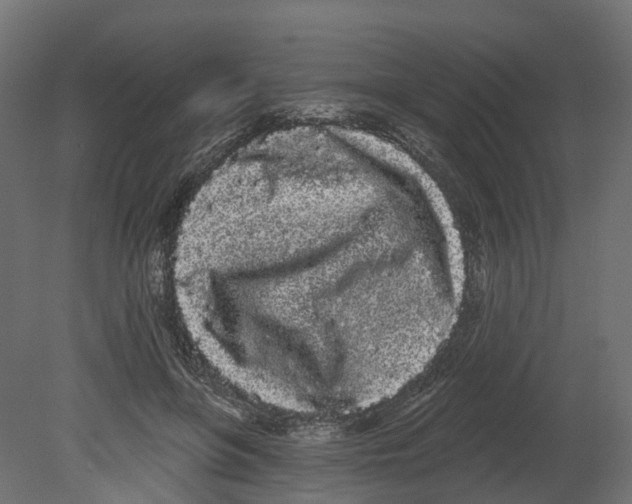 X0000080670551200701121635