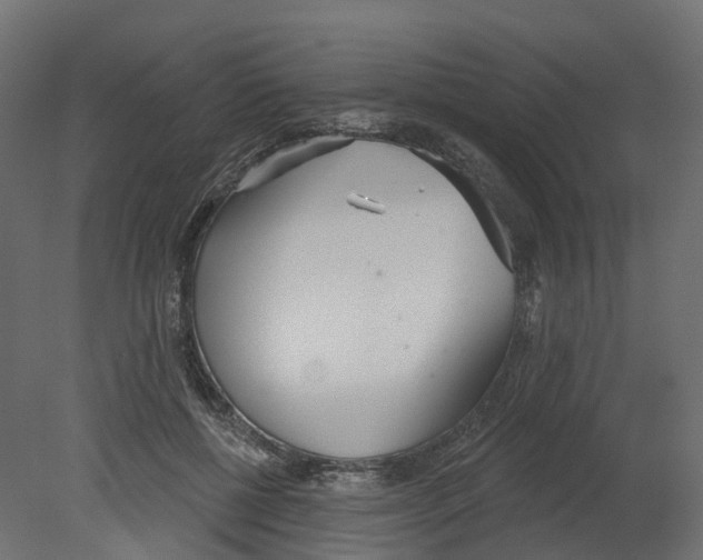 X0000080670552200701121635