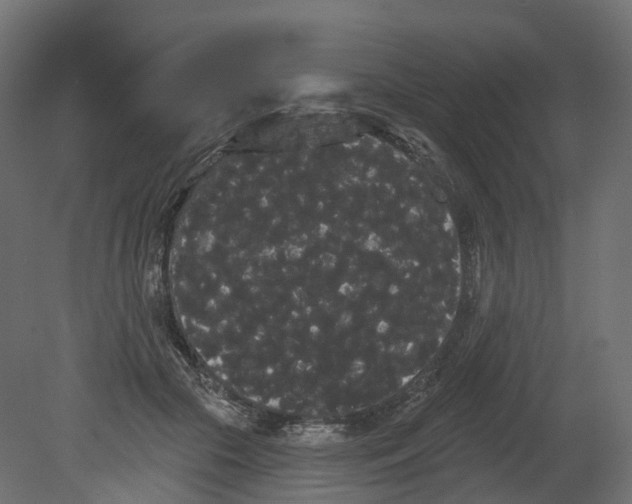 X0000080670553200701121635