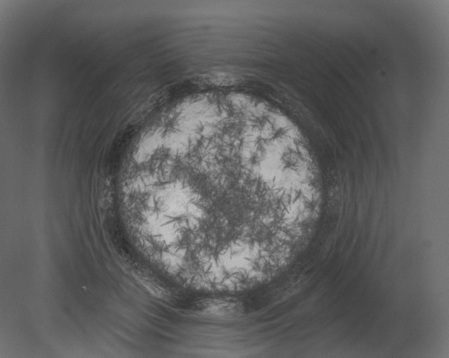 X0000080670555200701121635