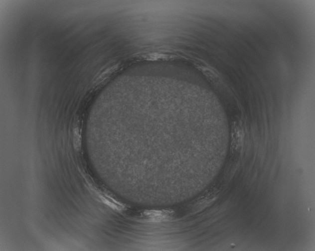 X0000080670558200701121635