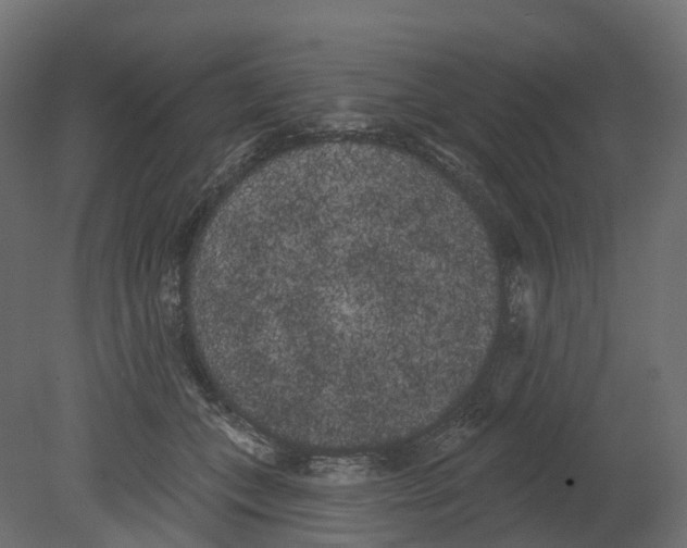 X0000080670559200701121635