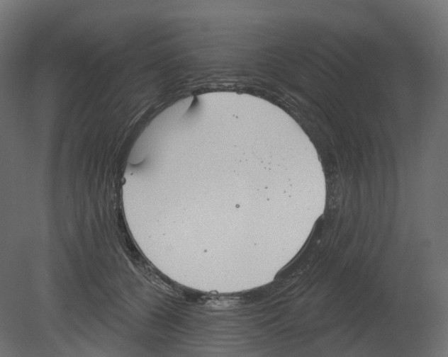 X0000080670560200701121635