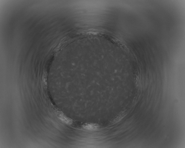 X0000080670561200701121635