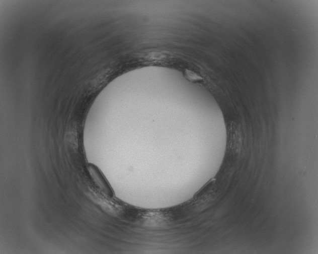 X0000080670562200701121635