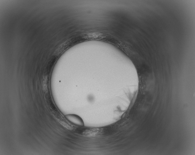 X0000080670563200701121635