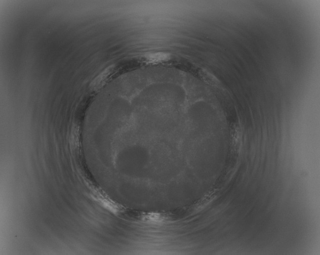 X0000080670565200701121635