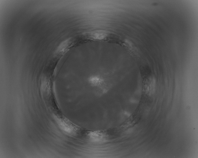 X0000080670568200701121635