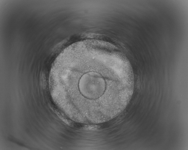 X0000080670569200701121636