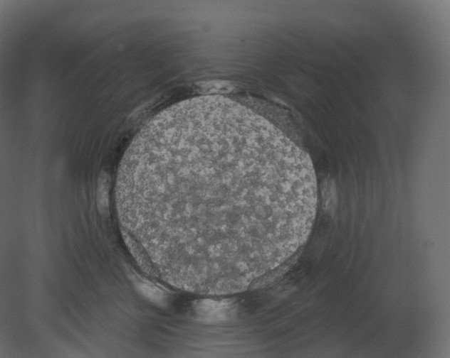 X0000080670570200701121636