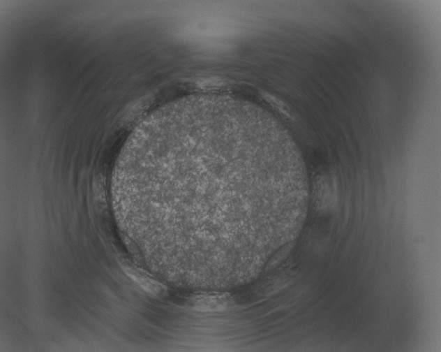 X0000080670571200701121636