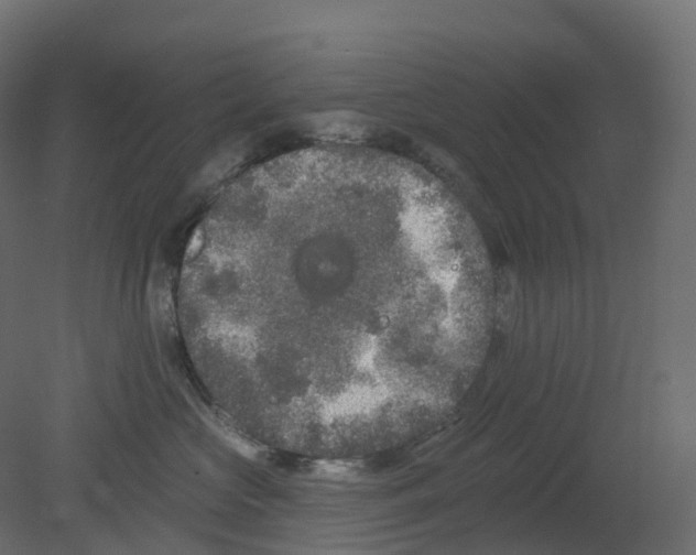 X0000080670573200701121636