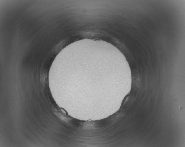 X0000080670574200701121636