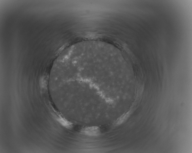 X0000080670576200701121636