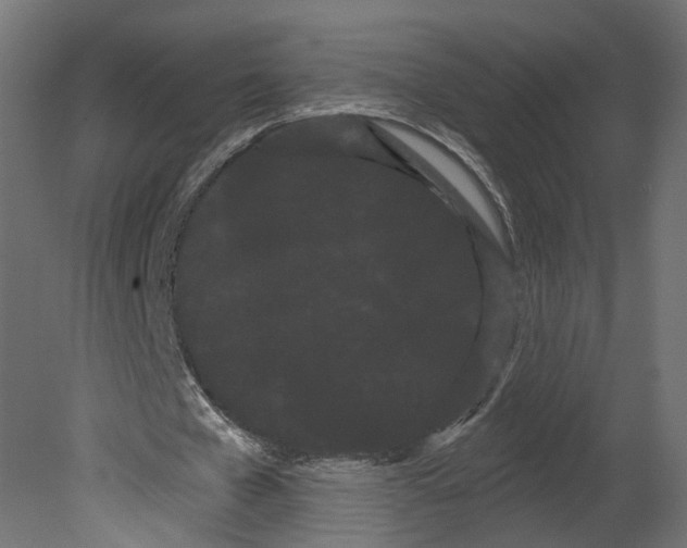 X0000080670577200701121635