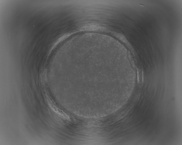 X0000080670579200701121635